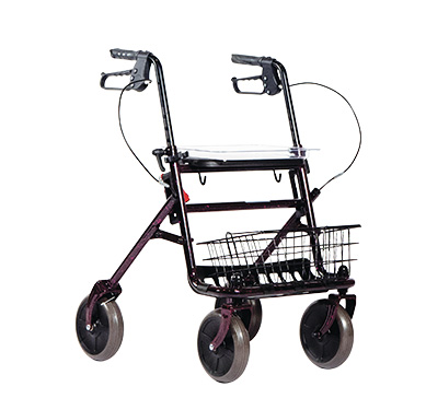 Rollator 4 Ruote