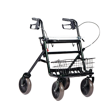 Rollator 4 Ruote